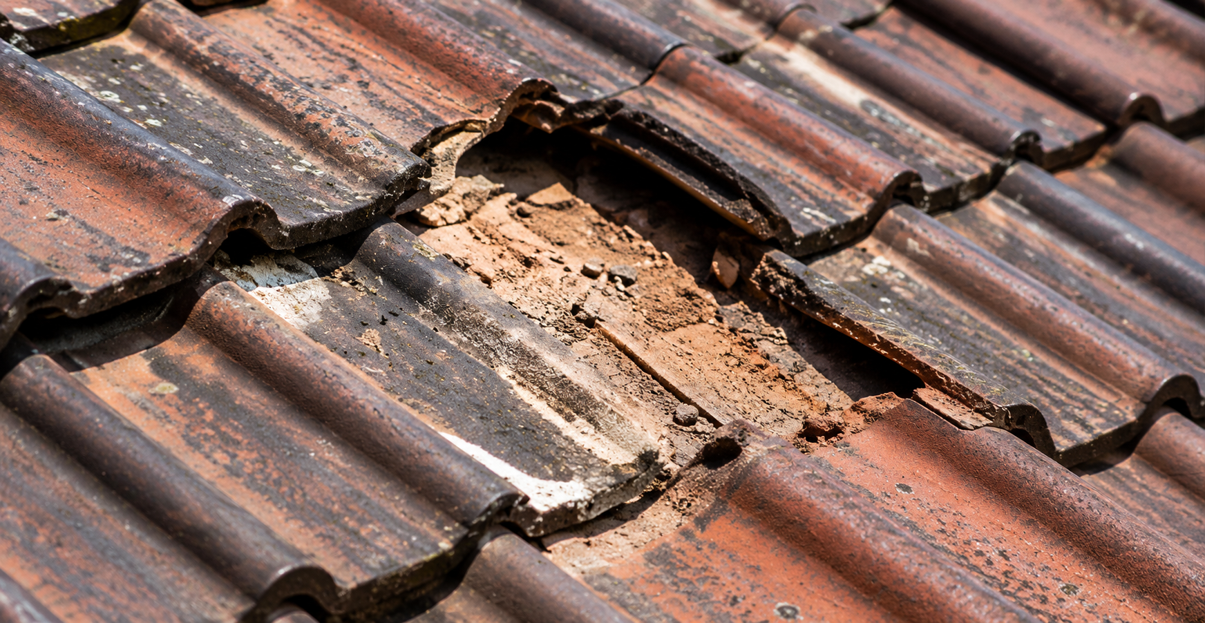 Terracotta Roof Tile Repairs Melbourne